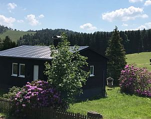 Unterkunft 02410709 • Ferienhaus Hessen • Huisje in Willingen 