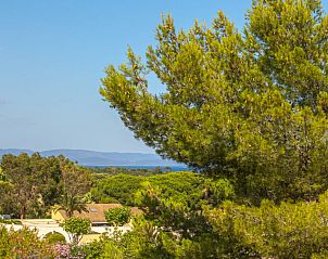 Unterkunft 04889202 • Appartement Provence / Cote d'Azur • Appartement Le Dauphin 