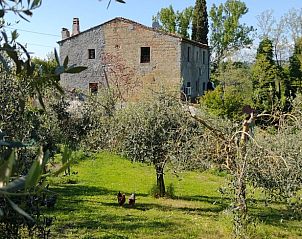 Unterkunft 09546905 • Ferienhaus Toskana / Elba • Vakantiehuisje in Ghizzano 