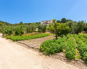 Unterkunft 09811904 • Appartement Apulien / Puglia • Appartement Villa Tavaglione 