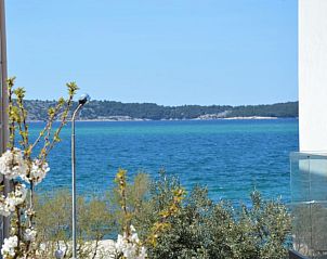 Guest house 1037603 • Apartment Dalmatia • Appartement Ena 