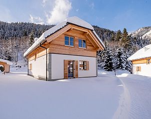 Guest house 1154120 • Chalet Steiermark • Villa Petra 