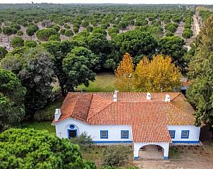 Verblijf 1343503 • Vakantiewoning Alentejo • Vakantiehuisje in MELIDES 