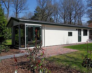 Guest house 172807 • Chalet Midden Drenthe • A Chalet Boterbloem 4 