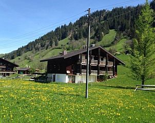 Guest house 1803531 • Apartment Berner Oberland • Appartement Rothenbach 