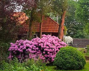 Verblijf 185002 • Vakantiewoning Noord Drenthe • Huisje in Gasselternijveenschemond 