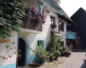 Guest house 19003102 • Apartment Black Forest • Rosenhof Broggingen 