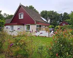 Guest house 231520 • Holiday property Friese bossen • Comfortabele 4-persoons bungalow met ruime tuin in Boijl, 