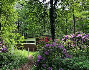 Unterkunft 290203 • Ferienhaus Achterhoek • Vakantiehuis in Barchem 