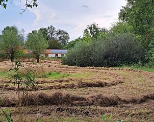 Verblijf 300409 • Vakantiewoning Gelderse vallei • Vakantiehuis in Brummen 