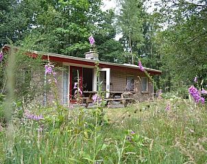 Guest house 321817 • Holiday property Veluwe • Vakantiehuis in Elspeet 