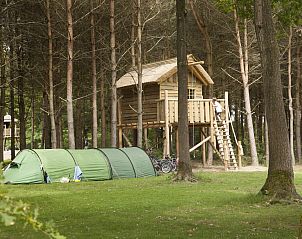 Unterkunft 421805 • Ferienhaus Hart van Brabant • RCN de Flaasbloem | Kampeerplaats met boomhut 