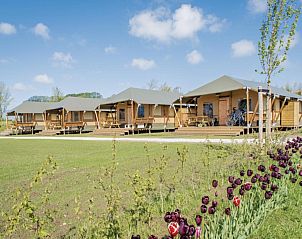 Unterkunft 470719 • Zelthaus Waddenkust • Glamping Lodge 