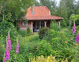 Verblijf 527202 • Vakantiewoning Twente • Huisje in Vriezenveen 